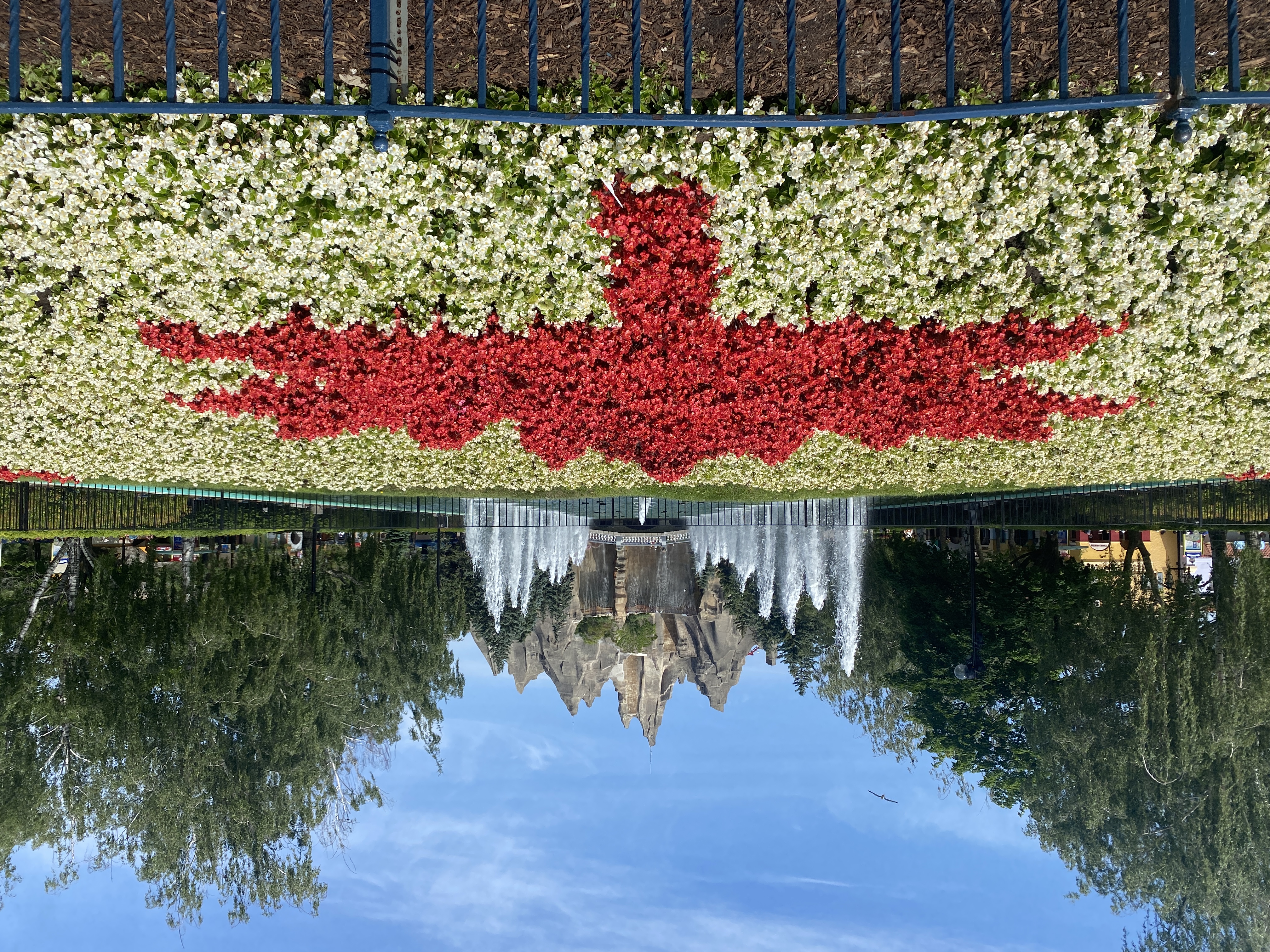 All those fresh flowers were arranged into the Canadian
      flag.